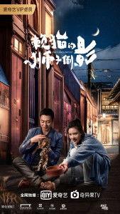 懒猫的狮子倒影,一场奇幻的梦境之旅