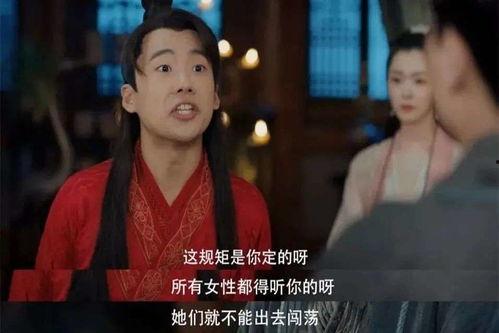 婿业难成（赘婿难当）,揭秘古代婚姻困境与人生抉择