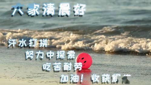 明天会是更好的一天